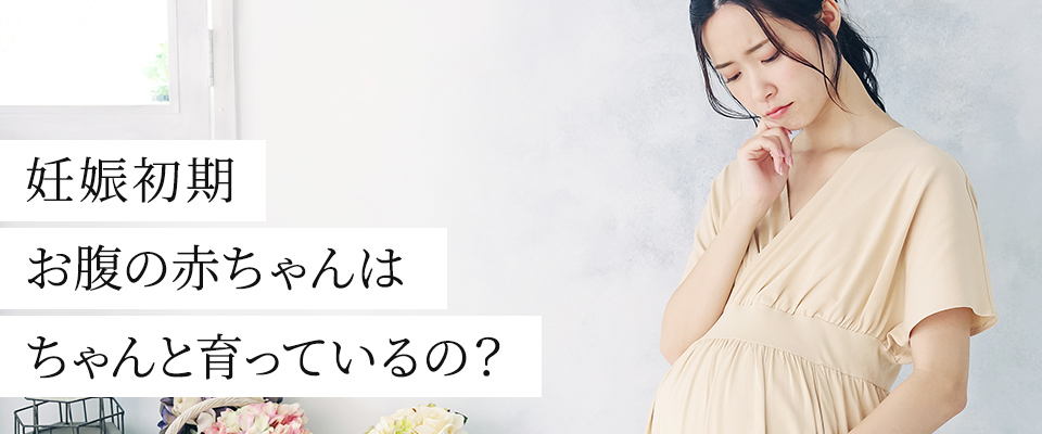 妊娠初期お腹の赤ちゃんはちゃんと育っているの?