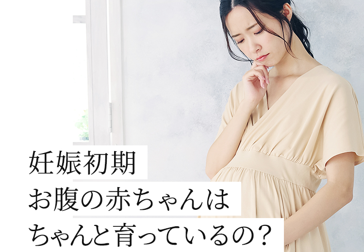 妊娠初期お腹の赤ちゃんはちゃんと育っているの？