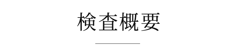 検査概要